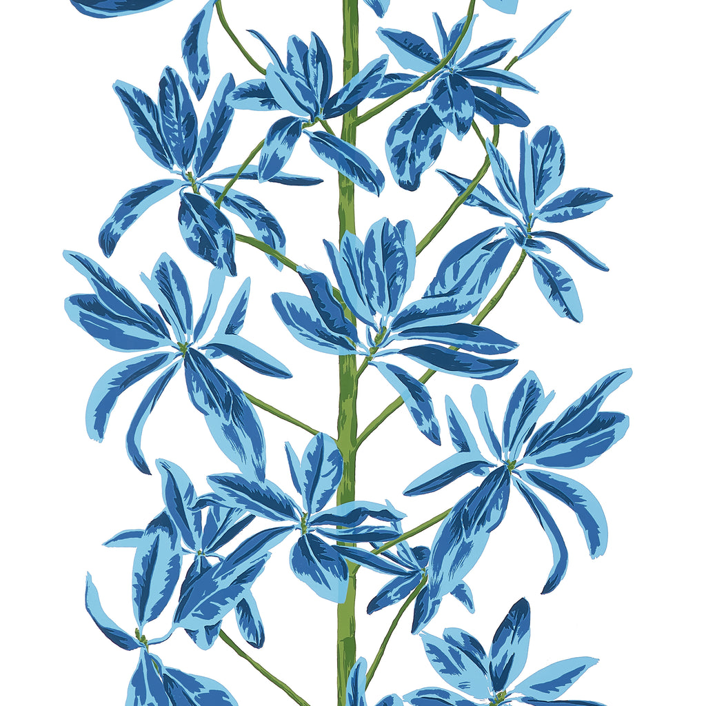 Papel Mural Mangrove Tree