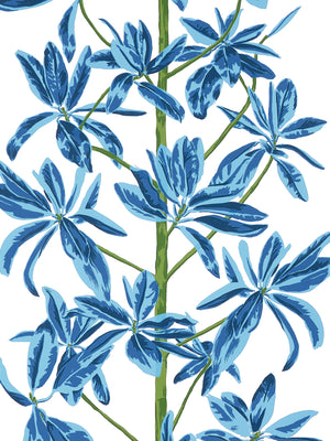 Papel Mural Mangrove Tree