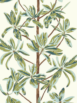 Entrega inmediata Papel Mural Mangrove Tree