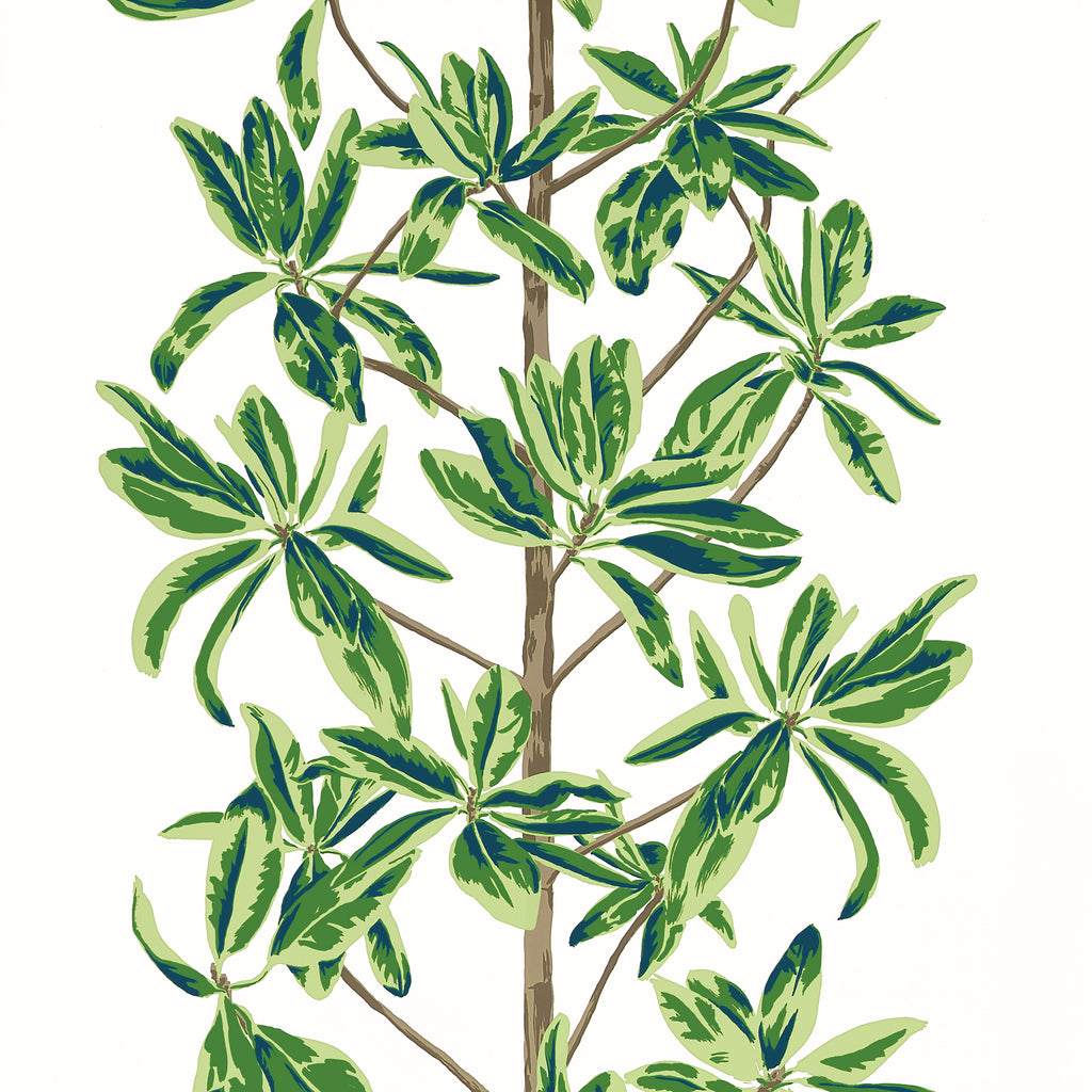 Papel Mural Mangrove Tree