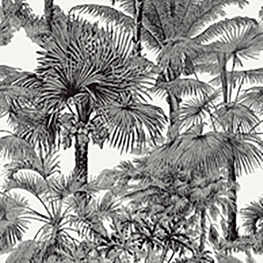 Papel Mural Palm Botanical