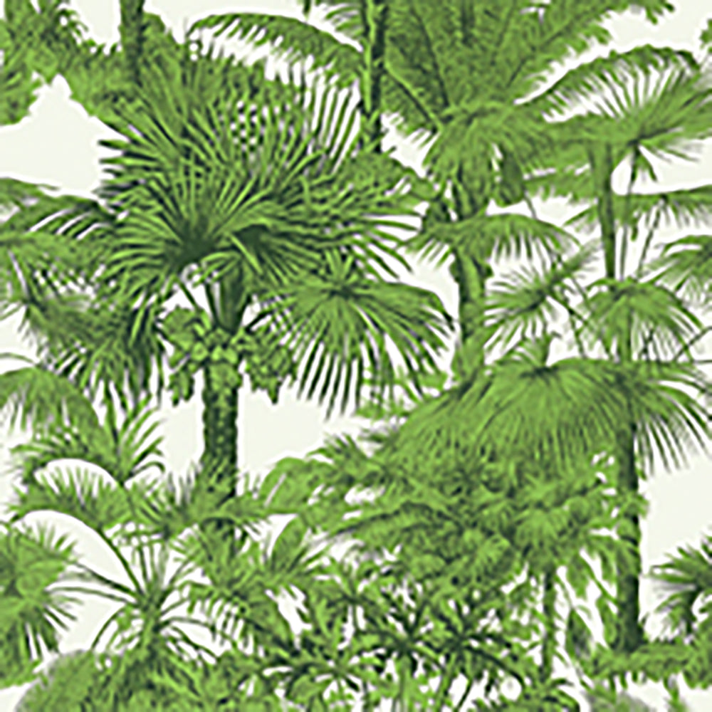 Papel Mural Palm Botanical
