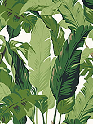 Papel Mural Travelers Palm