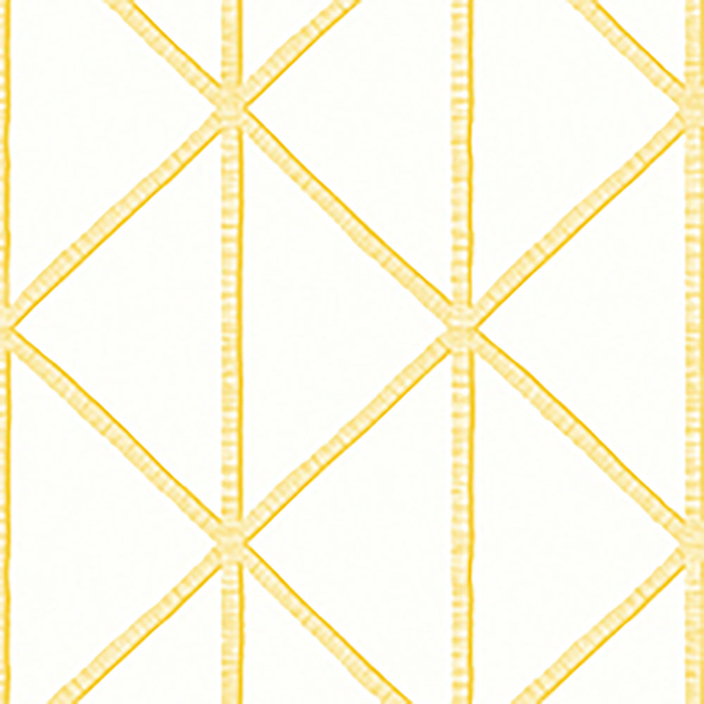 Papel Mural Box Kite