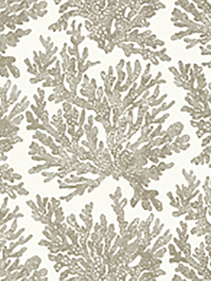 Papel Mural Marine Coral