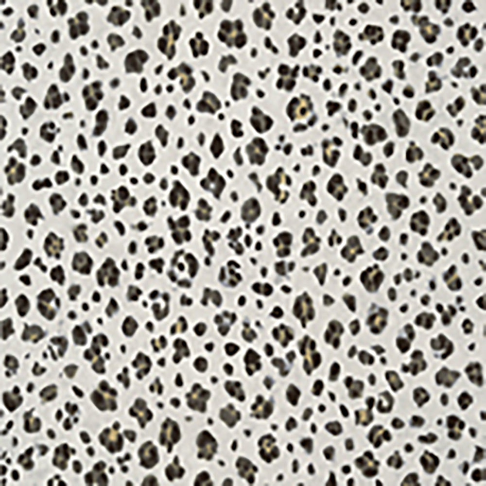 Papel Mural Panthera