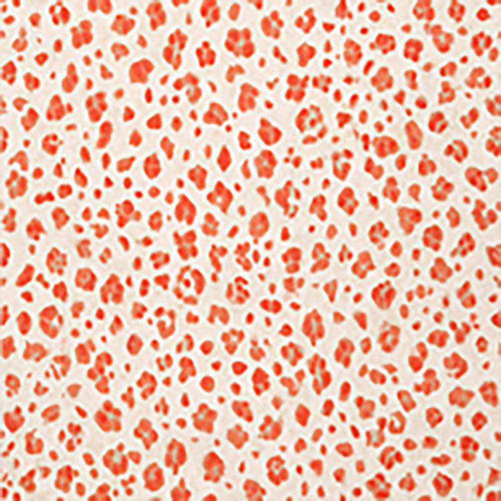 Papel Mural Panthera