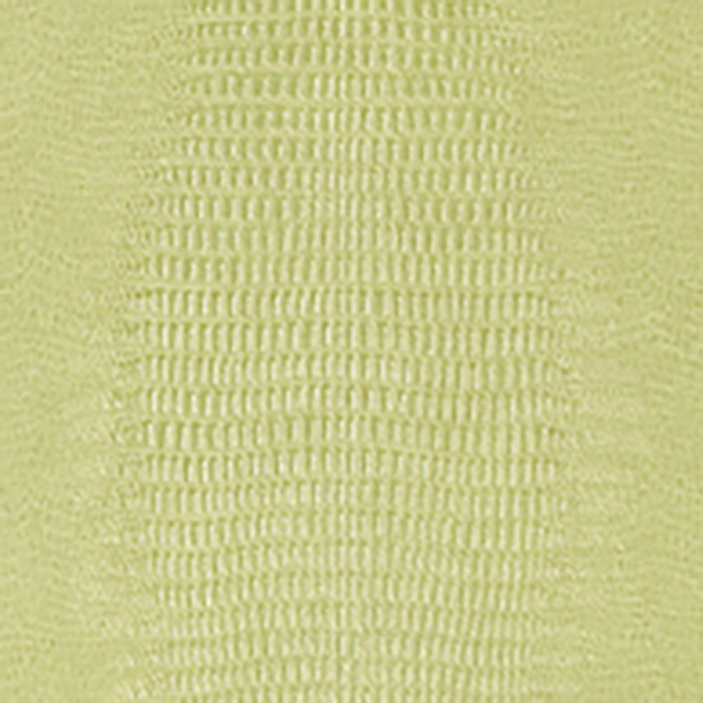 Papel Mural Kissimmee