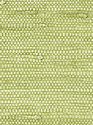 Papel Mural Maranta Arrowroot