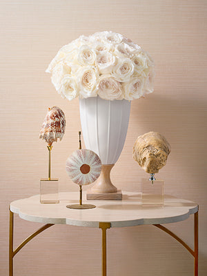 Papel Mural Luta Sisal