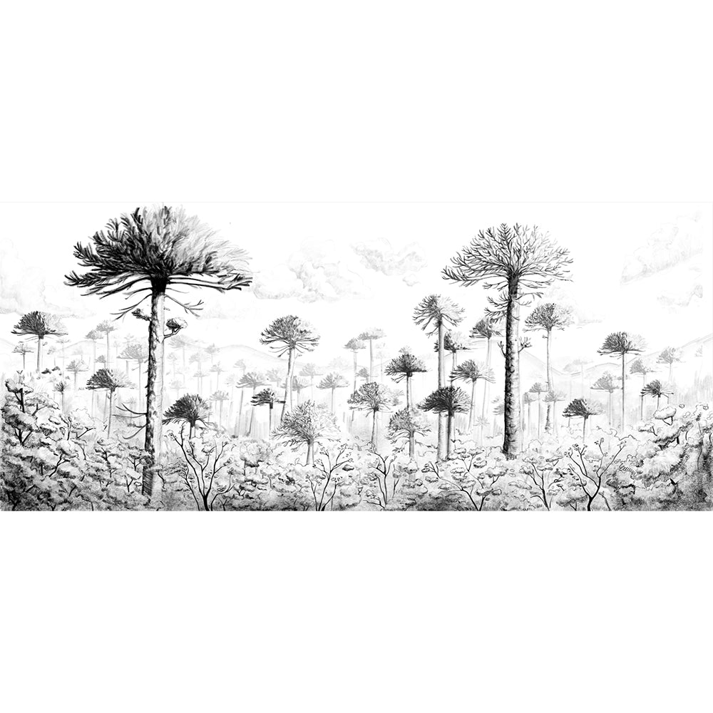 Papel Mural Araucarias Chilenas