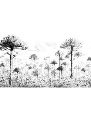 Papel Mural Araucarias Chilenas