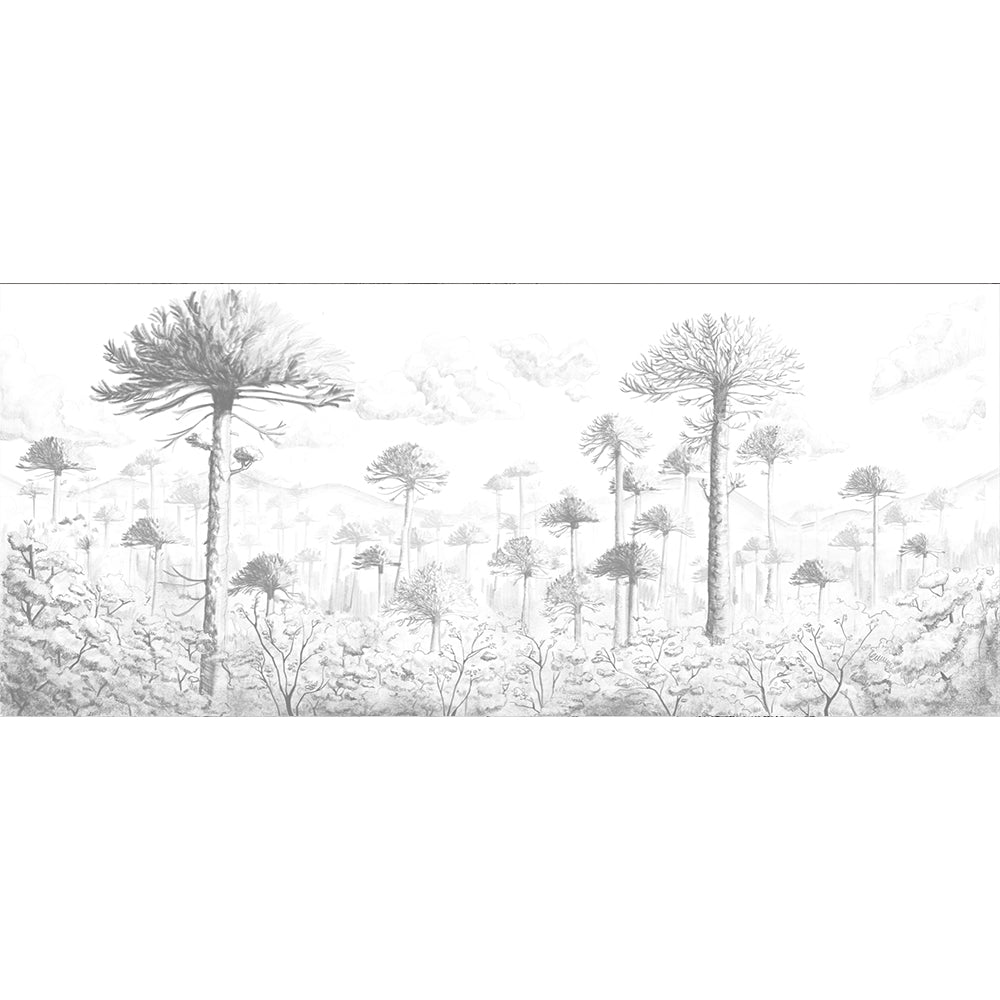 Papel Mural Araucarias Chilenas