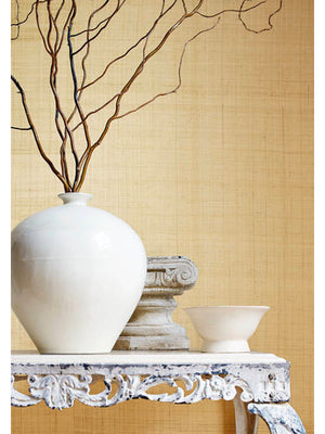 Papel Mural Carolina Raffia