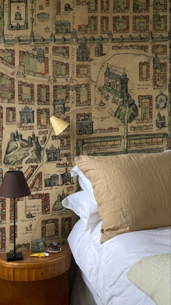 Papel Mural Paisaje Mapa