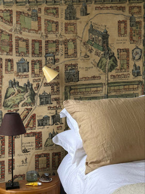 Papel Mural Paisaje Mapa