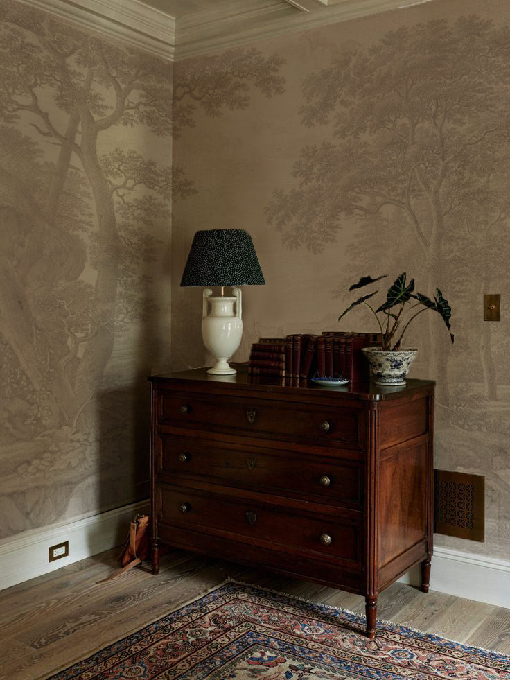 Papel Mural Paisaje Frances