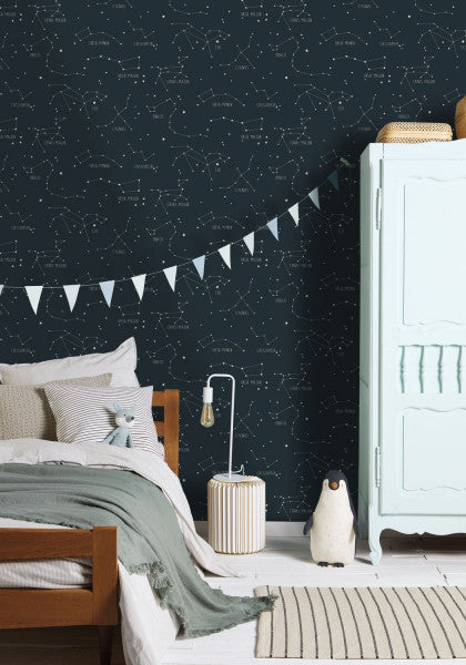 Entrega Inmediata Papel Mural Our Planet Constellations