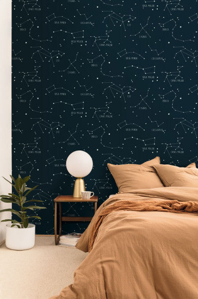 Entrega Inmediata Papel Mural Our Planet Constellations