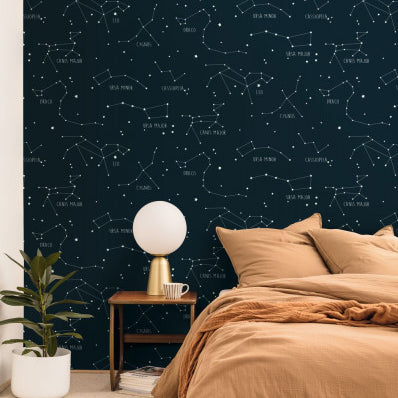 Entrega Inmediata Papel Mural Our Planet Constellations