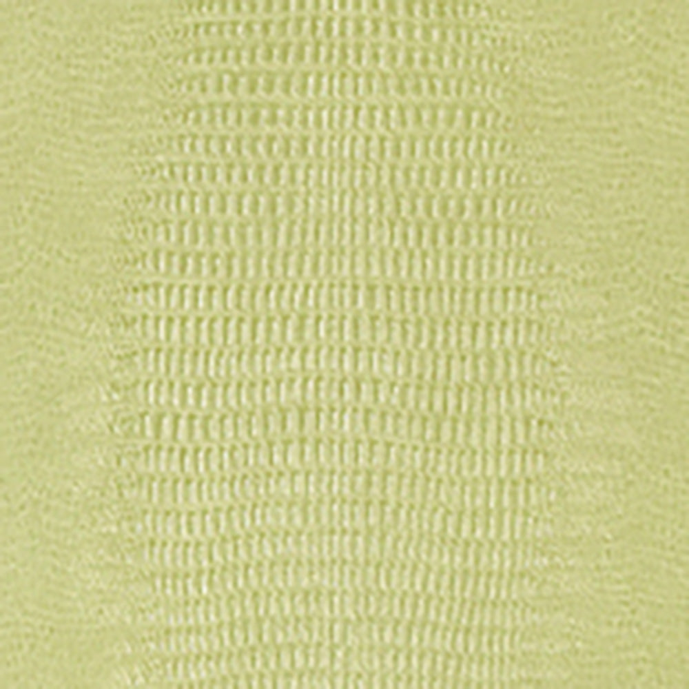 Papel Mural Kissimmee